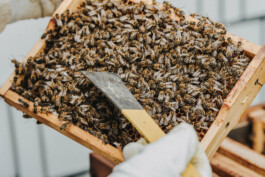 Portrait und Reportagefotografie im Saarland und deutschlandweit. 