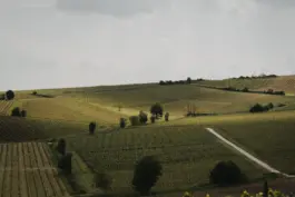 Bildwelt für die nachhaltige Weinmarke HORIZN29 