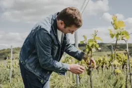 Erzeuger und Weinberge der nachhaltigen Weinmarke HORIZN29 