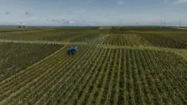 Nachhaltige Arbeit im Weinberg für die Weinmarke HORIZN29 