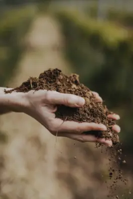 Erzeuger und Weinberge der nachhaltigen Weinmarke HORIZN29 