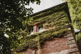 Professionelles Business Shooting im Architekturbüro 3bStoff. 