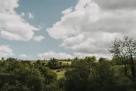Ein Schafscherer bei seiner Arbeit - authentische Szene aus einer landwirtschaftsreportage Fotografie. 