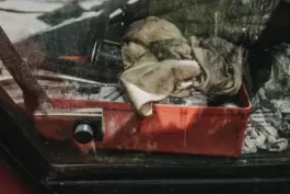 Ein Schafscherer bei seiner Arbeit - authentische Szene aus einer landwirtschaftsreportage Fotografie. 