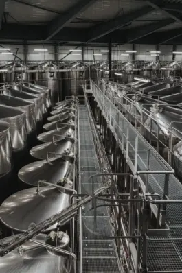 Professionelle Unternehmensfotografie in der Weinproduktion 