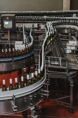 Professionelle Unternehmensfotografie in der Weinproduktion