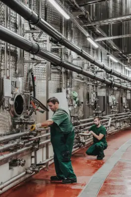 Industriereportage aus der Weinproduktion der Andreas Oster Weinkellerei 