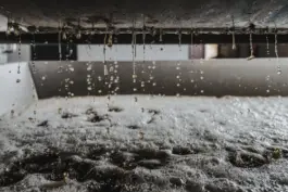 Fotografin für Weingüter an der Saar und Mosel 