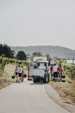 Fotografin für Weingüter an der Saar und Mosel 