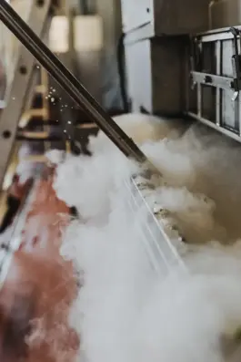 Fotografin für Weingüter an der Saar und Mosel 