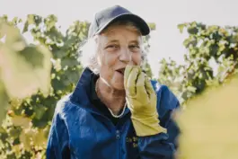 Fotografin für Weingüter an der Saar und Mosel 