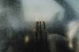 Fotografin für Weingüter an der Saar und Mosel 