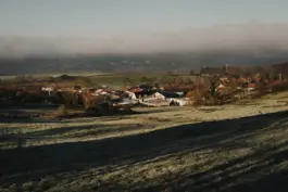 Fotografin für Weingüter an der Saar und Mosel 