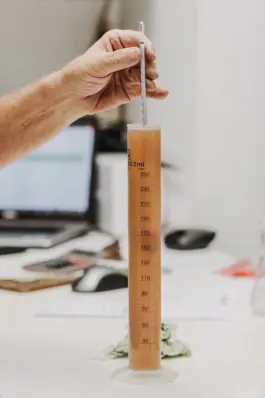 Fotografin für Weingüter an der Saar und Mosel 